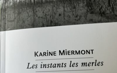 Karine Miermont, Les instants les merles – photographies de Bernard Plossu, L’Atelier contemporain, 2026.