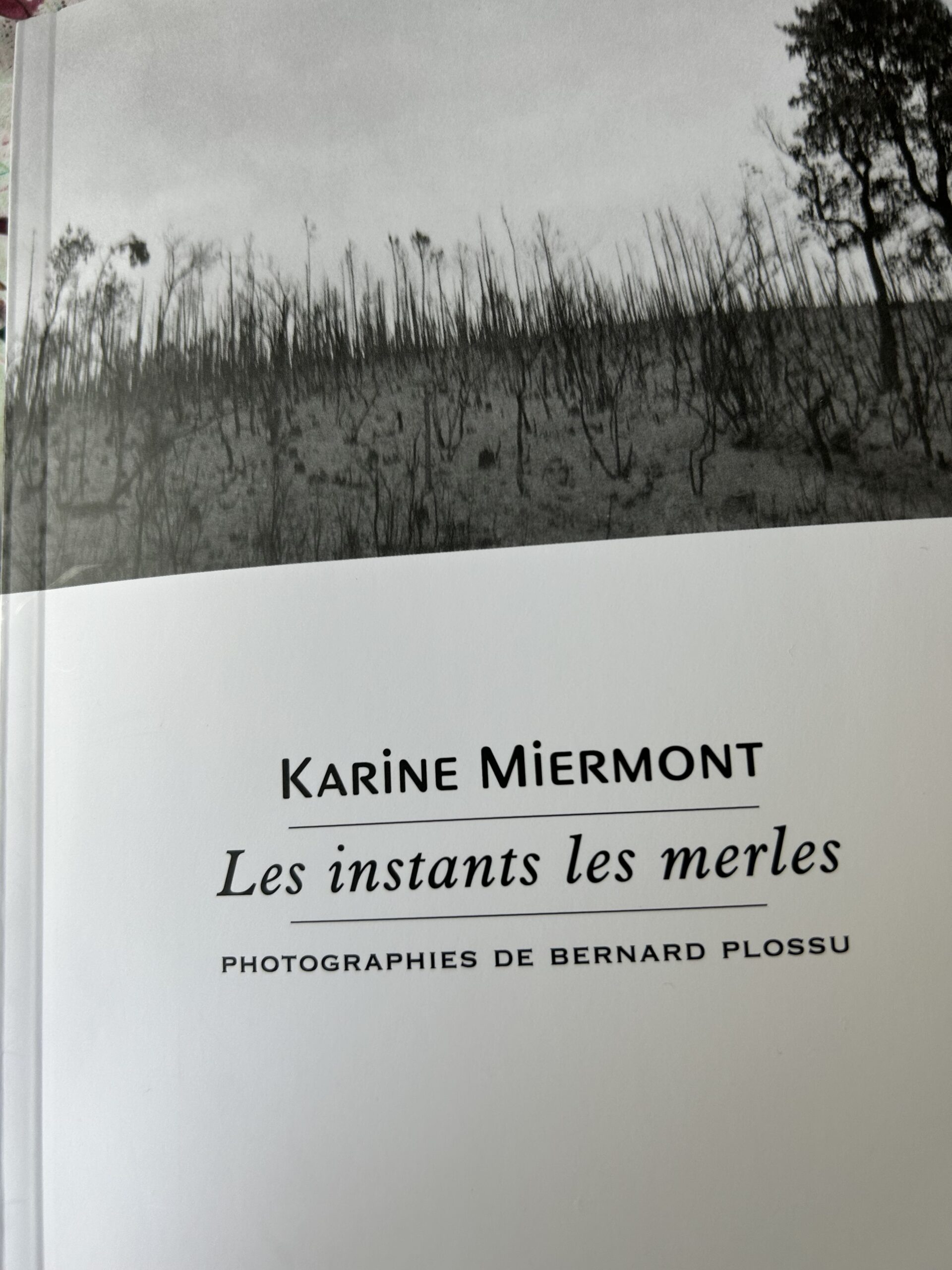 IMG_3029 Karine Miermont Les instants les merles, L'Atelier contemporain, 2026.