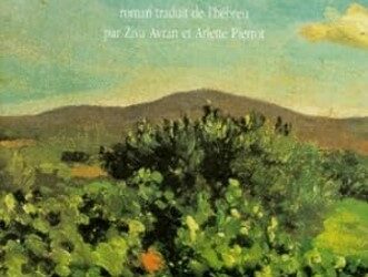 BALBUTIER L’HISTOIRE – Une lecture des Prémices de S. Yizhar