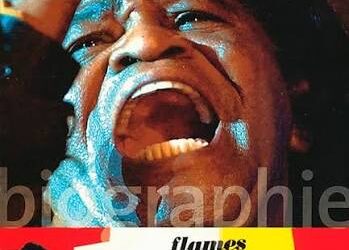 Stéphane Koechlin, James Brown, Folio-biographies, 2007.
